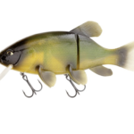 Quantum Freak of Nature Hybrid Tench