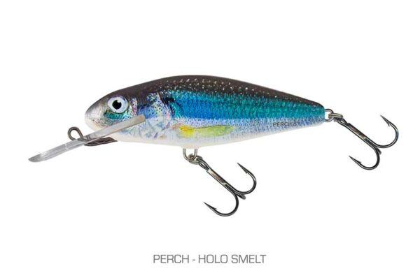 Salmo Perch Floating & Deep - Image 2